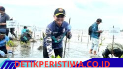 Danlanal Bintan Wakili Dankodaeral IV Hadiri Aksi Penanaman Mangrove Serentak Hari Mangrove Sedunia 2026