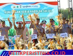 Kapolda Sulsel Hadiri Panen Raya Jagung Kuartal III di Sidrap, Dukung Swasembada Pangan Nasional