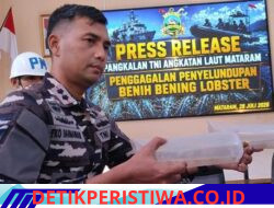 TNI AL Gagalkan Pengiriman Ilegal 10 Ribu Benih Lobster di Kayangan, Pelaku Tinggalkan Barang dan Kabur