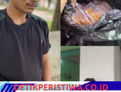 Polsek Cisoka Berhasil Mengamankan Seorang Pengedar Obat Keras Daftar G di Cikasungka, Pelaku Dilimpahkan Ke Polresta Tangerang