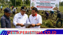 Masyarakat Alue Kuta Bersiap Bangkit, Pembersihan Lahan Pilot Project Penanaman Kacang Tanah Dimulai Sabtu