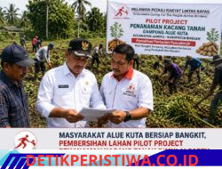 Masyarakat Alue Kuta Bersiap Bangkit, Pembersihan Lahan Pilot Project Penanaman Kacang Tanah Dimulai Sabtu