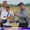 Nine Months After The Floods, RPRLB Launches A Pilot Program To Restore Agricultural Land Through Peanut Cultivation In Bireuen
