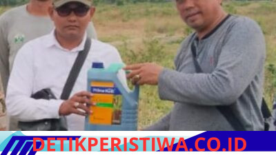 Nine Months After The Floods, RPRLB Launches A Pilot Program To Restore Agricultural Land Through Peanut Cultivation In Bireuen