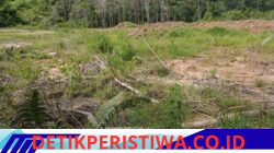 Akibat parahnya bencana alam di, Tapanuli Utara chususnya ,kec Adiankoting.