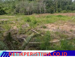 Akibat parahnya bencana alam di, Tapanuli Utara chususnya ,kec Adiankoting.