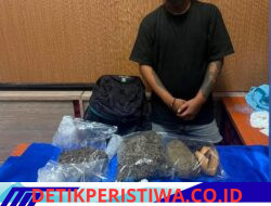 Tim Opsnal Unit II Subdit III Ditresnarkoba Polda Bali Berhasil Ringkus Pelaku Pengedar Narkotika, Amankan Barang Bukti Ganja 1,6 Kg dan Sabu 102 Gram