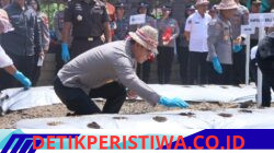 Tekan Ketergantungan Indonesia terhadap Impor Bawang Putih, Polda Bali Gencarkan Penanaman Bawang Putih di Enam Wilayah Hukum Polres