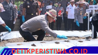Tekan Ketergantungan Indonesia terhadap Impor Bawang Putih, Polda Bali Gencarkan Penanaman Bawang Putih di Enam Wilayah Hukum Polres
