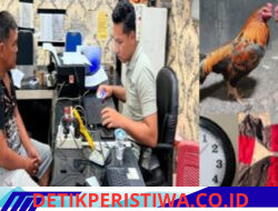 Polda Sumsel Melalui Polres OKU Timur Komitmen Berantas Perjudian, Arena Sabung Ayam Digerebek