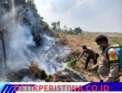 Polres Mesuji, Kodim 0426 Tuba, Pemerintah Daerah, Stakeholder Terkait Serta Masyarakat Berhasil Padamkan 51 Titik Api di Area Seluas 241,6 Hektar