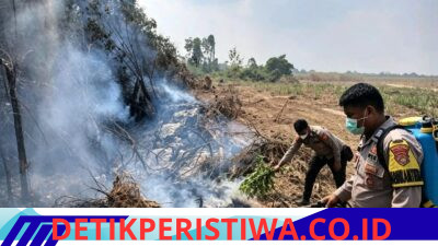 Polres Mesuji, Kodim 0426 Tuba, Pemerintah Daerah, Stakeholder Terkait Serta Masyarakat Berhasil Padamkan 51 Titik Api di Area Seluas 241,6 Hektar