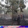 Respons Cepat, Lanal Banjarmasin Bersama Tim Gabungan Lokalisir Karhutla di Guntung Damar