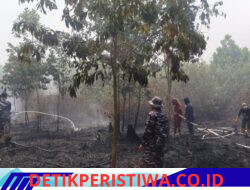 Respons Cepat, Lanal Banjarmasin Bersama Tim Gabungan Lokalisir Karhutla di Guntung Damar