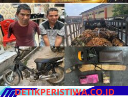 Manen Buah Sawit Milik Perkebunan PT. WMK Jaya Pura Dua Pria Berhasil, di Amankan Satreskrim Polres Oku Timur