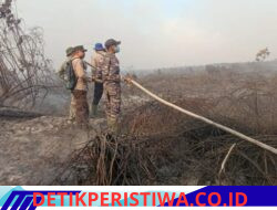 Tiga Hari Berjibaku Jinakkan Si Jago Merah, Pos Babinpotmar Pulau Kijang Bersama Tim Gabungan Berhasil Padamkan Karhutla di Daerah Reteh