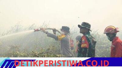 Kapolda Jambi Bersama Gubernur dan Danrem Pantau Penanganan Karhutla di Tanjab Timur