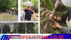 Mahasiswa PPKPM IAIN Takengon Kelompok 2 Kenali Potensi Hasil Bumi Desa Pantan Nangka