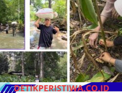Mahasiswa PPKPM IAIN Takengon Kelompok 2 Kenali Potensi Hasil Bumi Desa Pantan Nangka