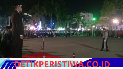 Taptu dan Pawai Obor Meriahkan HUT ke-81 Kemerdekaan RI di Bireuen