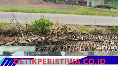 Terkait Cerobong Asap, Anggota DPRD Siak Jondris Pakpahan S.H Turun Langsung