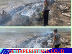 Ground Cek Update Pantauan Titik Hotspot Dari Aplikasi Stop Karhutla Polda Sumsel Hasil Pantauan Lapan Di Wilkum Polsek Belitang Ii Polres Oku Timur
