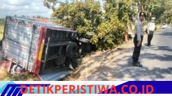 Truck Box Tabrak Pohon Perindang, di Jalan Denpasar – Gilimanuk Desa Kaliakah