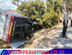 Truck Box Tabrak Pohon Perindang, di Jalan Denpasar – Gilimanuk Desa Kaliakah