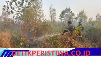 Lokalisasi dan Padamkan Api, Lanal Banjarmasin Bersama Dishut Kalsel Jinakkan Karhutla Gambut