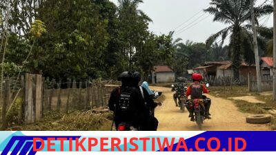 Pantau Karhutla, Satbrimob Polda Jambi Bersama Instansi Terkait Patroli di Kawasan Konservasi Gajah di Tebo