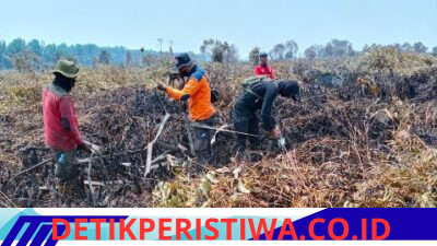 Pantang Menyerah dan Tak Kenal Lelah, Personel Brimob Polda Bali Terus Berupaya Padamkan Karhutla di Kalbar