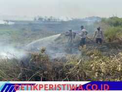 Kegiatan Mitigasi Karhutla, Polsek Pemulutan Bersama Tim Gabungan Padamkan Api di Desa Ibul Besar III