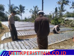 Dukung Ketahanan Pangan, Kapolsek Bebandem Cek Langsung Pertumbuhan Tanaman Bawang Putih di Desa Jungutan