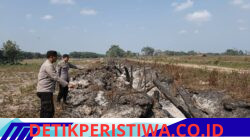 Kegiatan Mitigasi Karhutla Di Wilkum Polsek Madang Suku I Polres Oku Timur