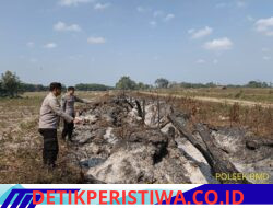 Kegiatan Mitigasi Karhutla Di Wilkum Polsek Madang Suku I Polres Oku Timur