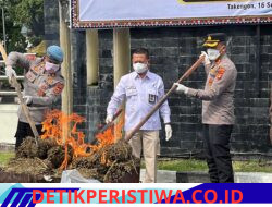 Polres Aceh Tengah Musnahkan 101,9 Kilogram Ganja, Kapolres Tegaskan Bandar Narkoba Jangan Coba Bermain di Takengon