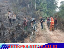 Gerak Cepat Polda Jambi Tangani Karhutla Seluas 5 Hektare, di Areal PT Jebus Maju Merangin