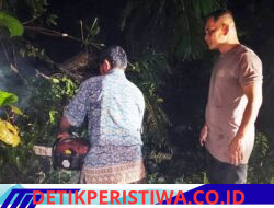 Kapolsek Idi Tunong Turun Tangan Evakuasi Pohon Tumbang yang Tutup Jalan