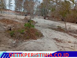 Bibir Pantai Pantai Olipir Rusak Parah Akibat Aktivitas Tambang Suntik Ilegal