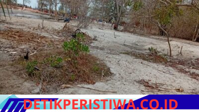 Bibir Pantai Pantai Olipir Rusak Parah Akibat Aktivitas Tambang Suntik Ilegal