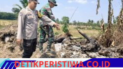 Dua Titik Api Terpantau Oleh Hotspot Polsek Madang Suku I Polres Oku Timur Polda Sumsul