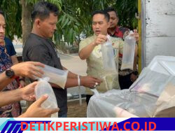 Polisi Sita Truk Pembawa 150 Ribu Benih Lobster, Ratusan Ribu Ekor Dilepasliarkan