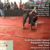 Judi Sabung Ayam di Wadung Malang Merajalela, “SDM Komitmen Pemberantasan di Polres Malang Dipertayakan”???