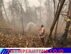 Cegah Meluasnya Karhutla, Satgas Karhutla Satbrimob Polda Kalteng Terus Lakukan Pembasahan di Tanjung Taruna