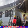 Pohon Kelapa Tumbang Timpa Gedung Perpustakaan SDN 1 Kertha Buana, Respon Cepat BPBD Kabupaten Karangasem Lakukan Penanganan