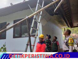 Pohon Kelapa Tumbang Timpa Gedung Perpustakaan SDN 1 Kertha Buana, Respon Cepat BPBD Kabupaten Karangasem Lakukan Penanganan