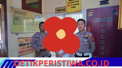 Laka Lantas Mobil Grandmax Pick-up Box SPPG, di Jalan Raya Jalur Komering Rasuan