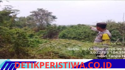 Polsek Rantau Bayur Lakukan Ground Check Hotspot, Kebakaran Lahan Sekitar 1 Hektare Ditemukan di Arisan Musi