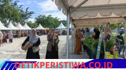 Pasar Tani Aceh di Bireuen Libatkan 46 UMKM, Tawarkan Kebutuhan Pokok dengan Harga Terjangkau