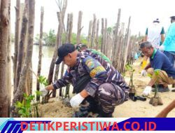 Posbinter Lobam Bersinergi Dengan PT. BIIE Tanam Mangrove, Wujud Kepedulian Terhadap Kelestarian Ekosistem Pesisir Bintan